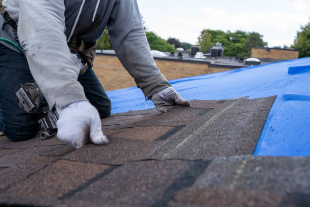 Best Roof Insulation Installation  in New London, OH